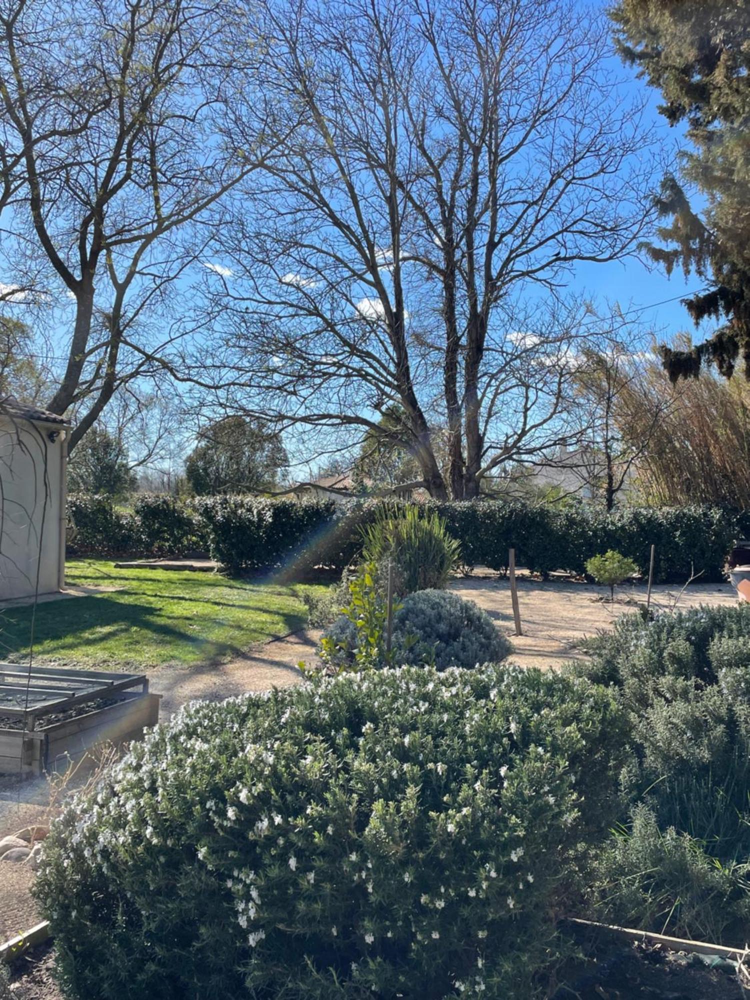 Arles Campagne Location "La Campagn'Arles" Bed & Breakfast Ngoại thất bức ảnh